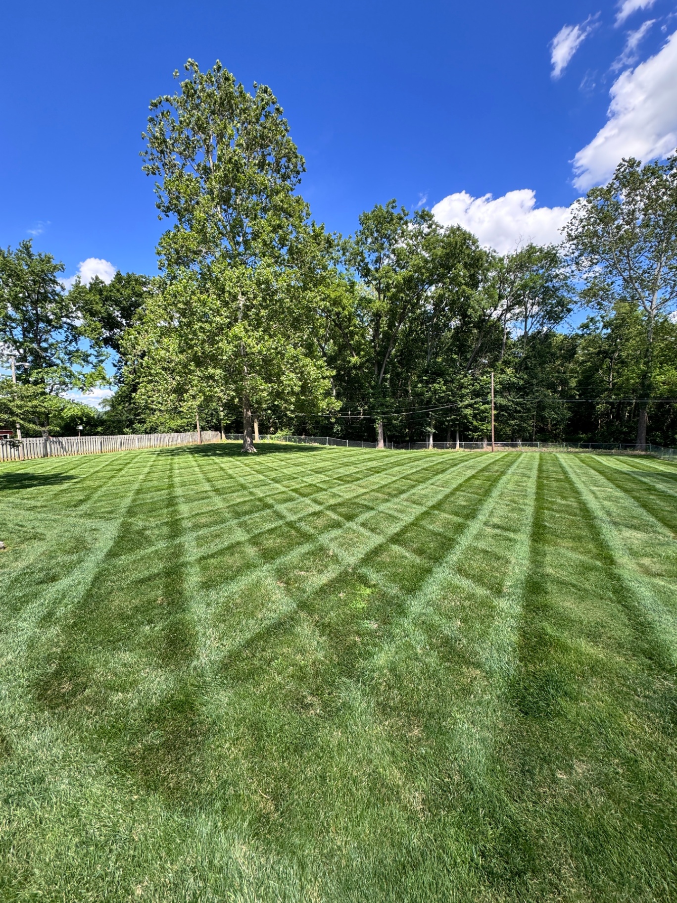 Diagonal striped backyard lawn